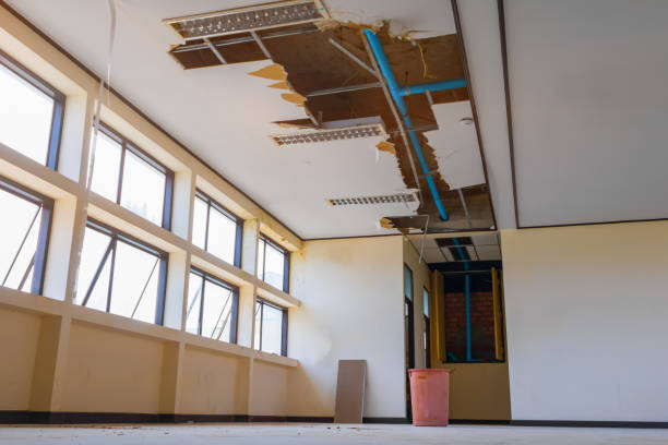 Best Sewage cleanup and water damage restoration  in Lford, MI