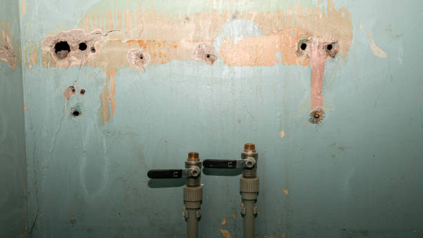 Water damage restoration insurance claims in Milford, MI